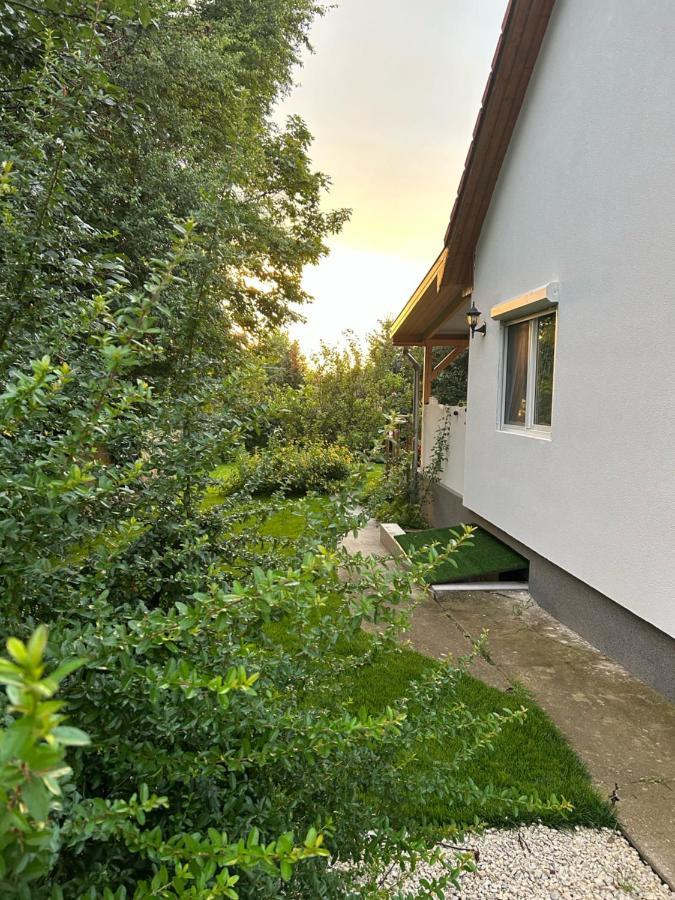 Villa Kisvirag Vendeghaz Balatonvilágos Esterno foto