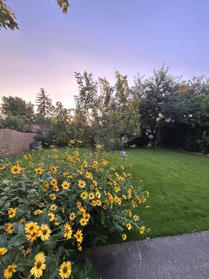 Villa Kisvirag Vendeghaz Balatonvilágos Esterno foto