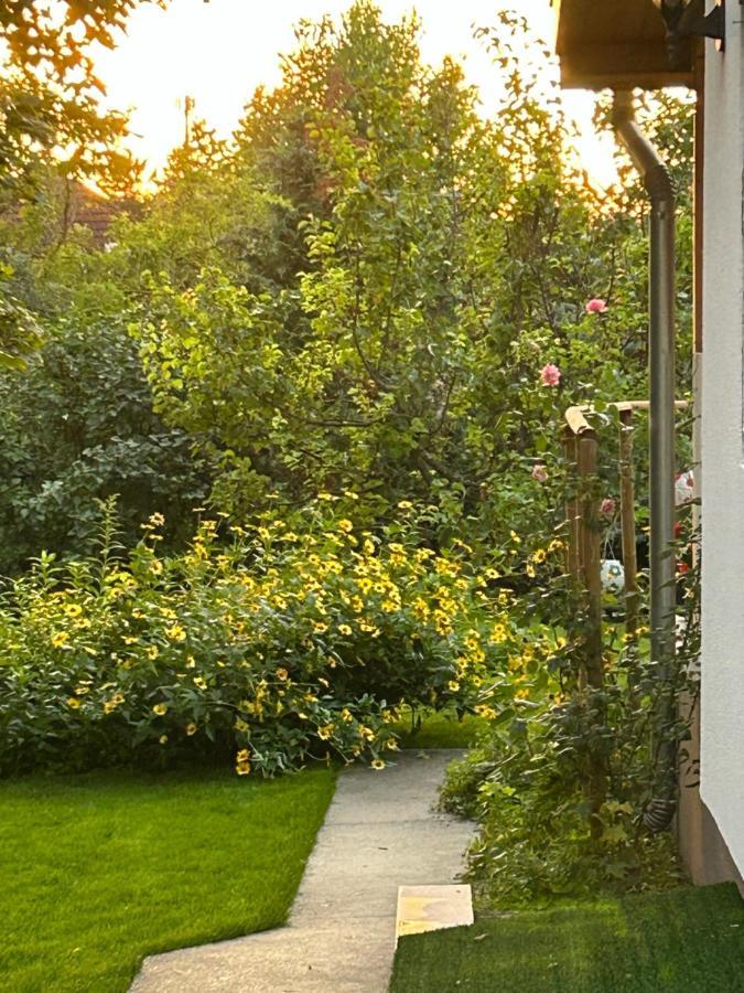 Villa Kisvirag Vendeghaz Balatonvilágos Esterno foto
