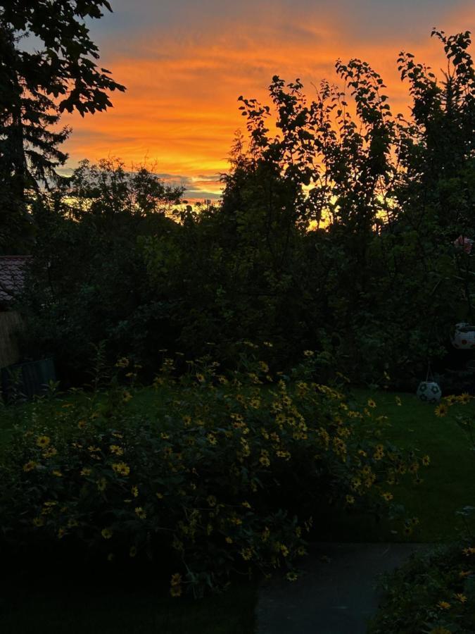 Villa Kisvirag Vendeghaz Balatonvilágos Esterno foto